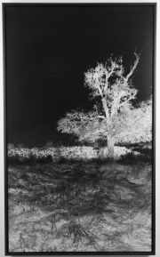 Conquest of the Vertical 05