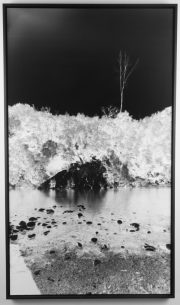 Conquest of the Vertical 09