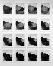 Vernal Grid